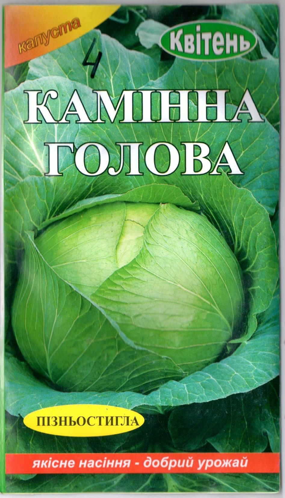 Капуста "Каменная голова"