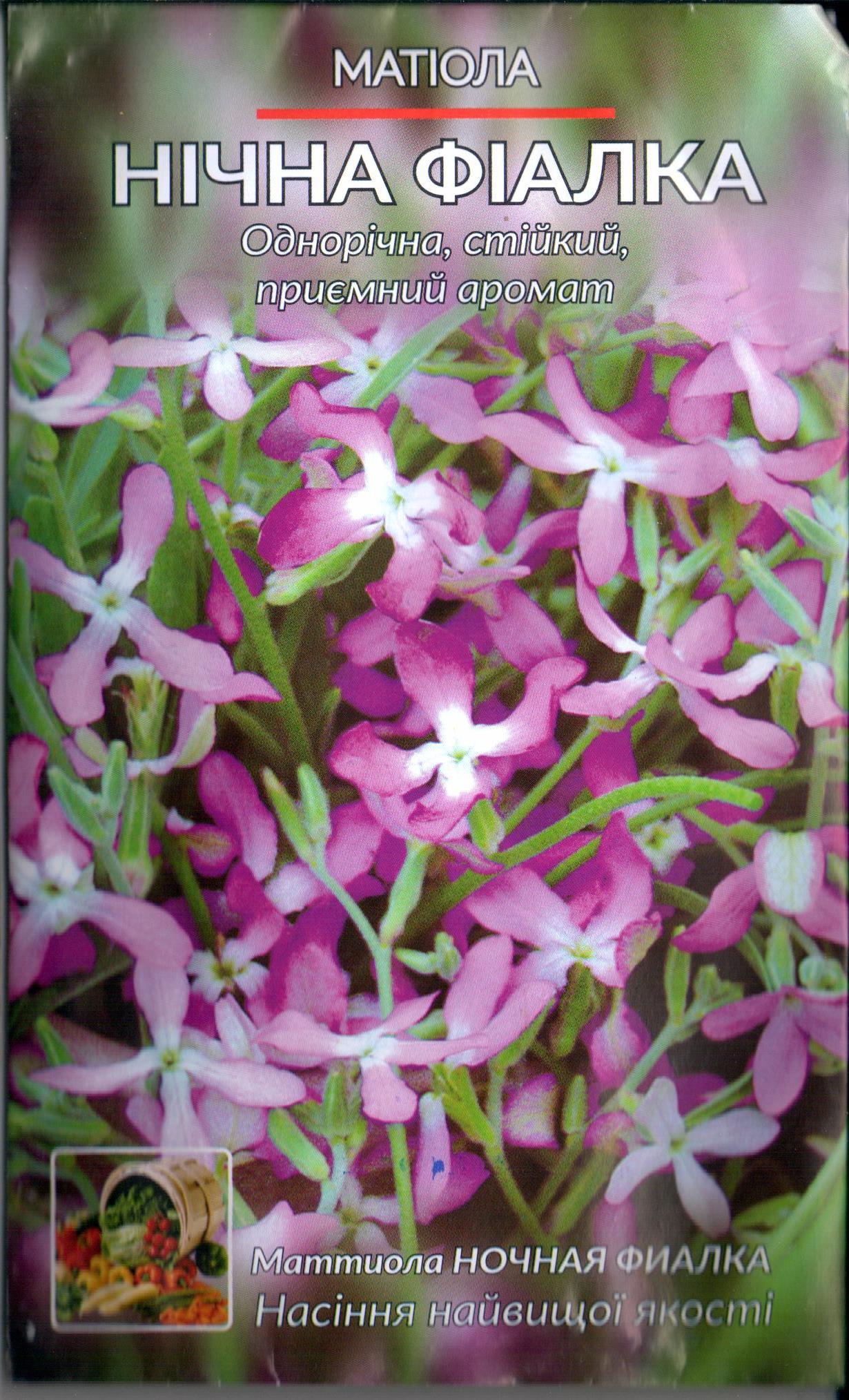 Маттиола "Ночная фиалка"