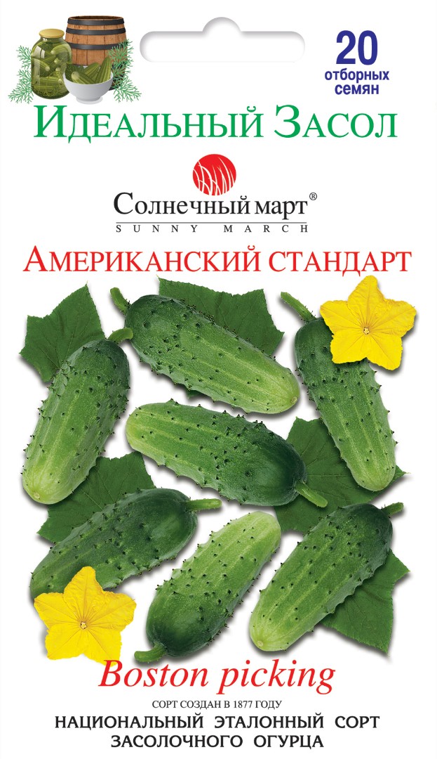 Огурец "Американский стандарт"