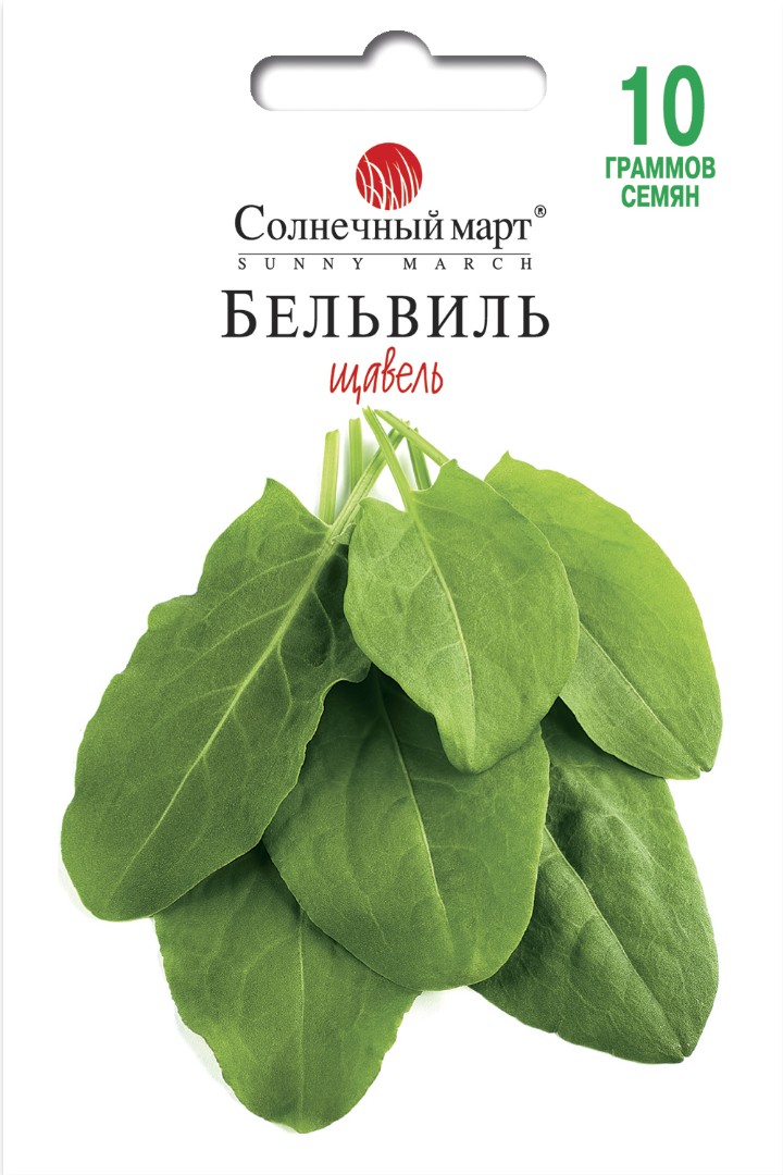 Щавель Бельвиль