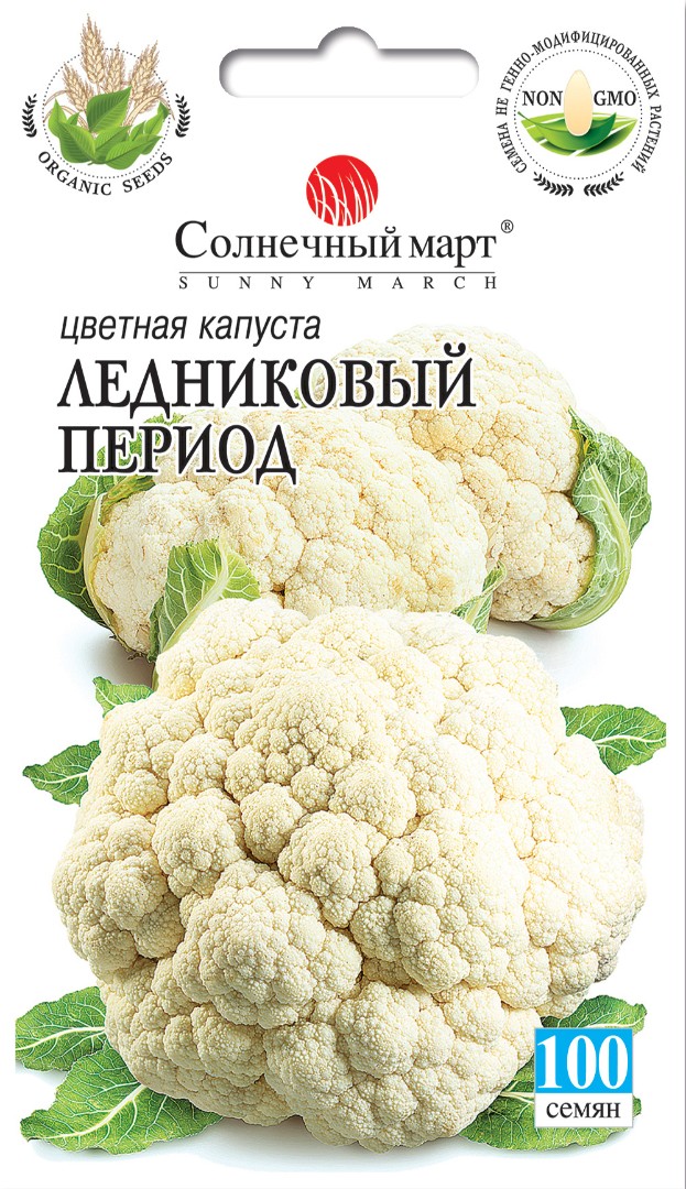 Капуста Ледниковый период 100шт