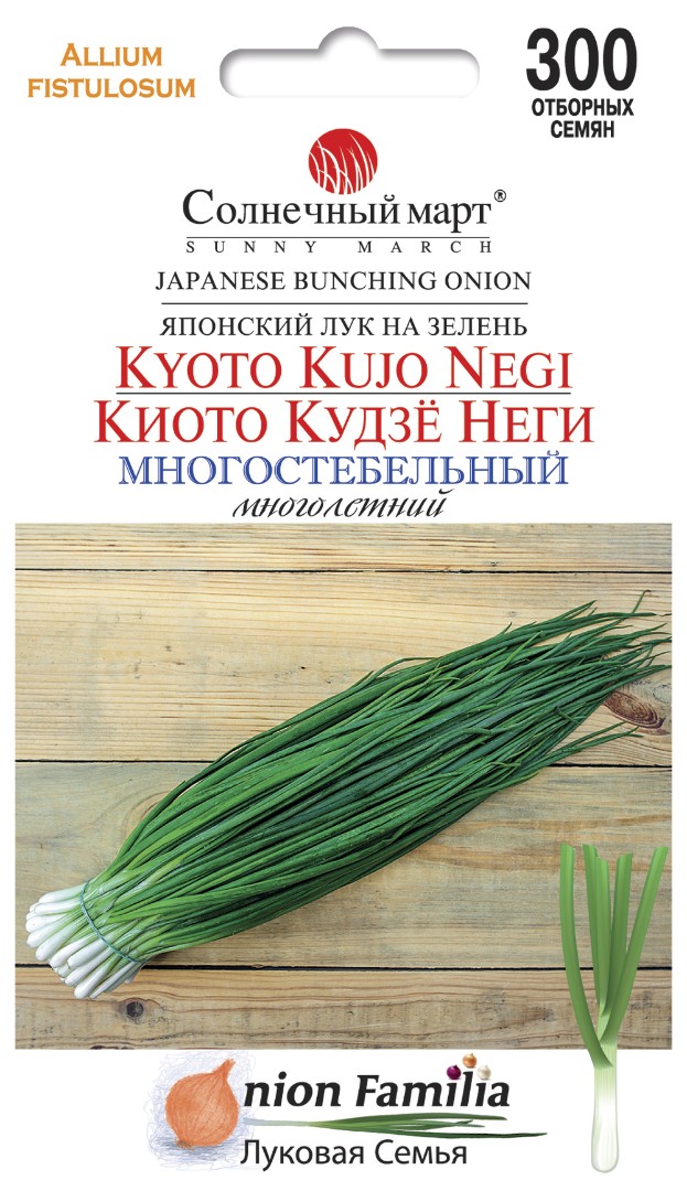 Лук "Киото кудзё Неги"