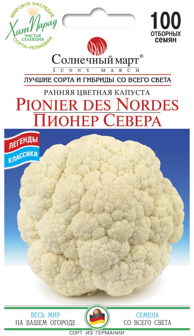 Капуста "Пионер севера"