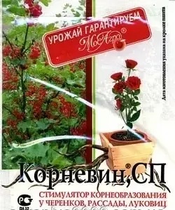 Корневин- Квантум 10г